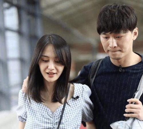 娱乐圈吃瓜定律