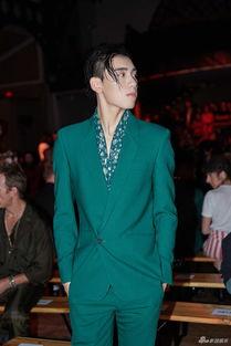 新浪娱乐 王子异,新浪娱乐独家揭秘，人气偶像的成长之路