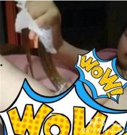 用鳝鱼的女主播,网络红人的鳝鱼美食之旅